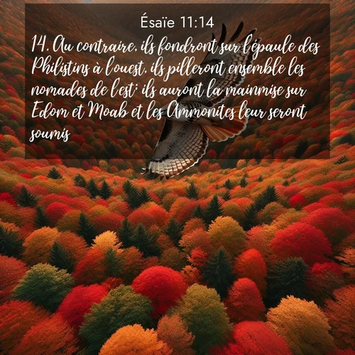 Segond21 Ésaïe  ; image nature: image avec le verset biblique :Au contraire, ils fondront sur l&#039;épaule des Philistins à l&#039;ouest, ils pilleront ensemble les nomades de l&#039;est; ils auront la mainmise sur Edom et Moab et les Ammonites leur seront soumis. ;  ; 11:14