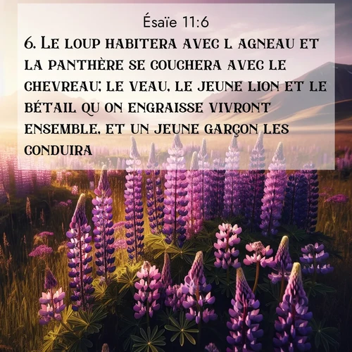 Segond21 Ésaïe  ; image nature: image avec le verset biblique :Le loup habitera avec l&#039;agneau et la panthère se couchera avec le chevreau; le veau, le jeune lion et le bétail qu&#039;on engraisse vivront ensemble, et un jeune garçon les conduira. ;  ; 11:6
