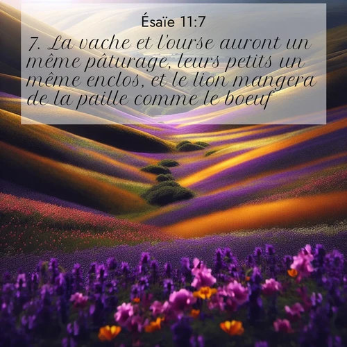 Segond21 Ésaïe  ; image nature: image avec le verset biblique :La vache et l&#039;ourse auront un même pâturage, leurs petits un même enclos, et le lion mangera de la paille comme le boeuf. ;  ; 11:7
