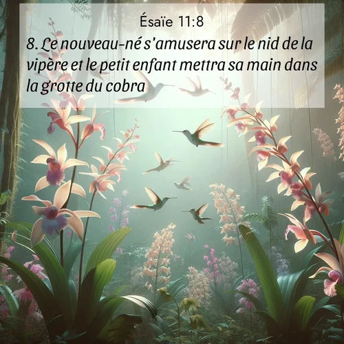 Segond21 Ésaïe  ; image nature: image avec le verset biblique :Le nouveau-né s&#039;amusera sur le nid de la vipère et le petit enfant mettra sa main dans la grotte du cobra. ;  ; 11:8