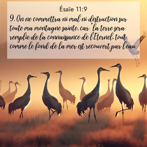 Segond21 Ésaïe  ; image nature: image avec le verset biblique :On ne commettra ni mal ni destruction sur toute ma montagne sainte, car *la terre sera remplie de la connaissance de l&#039;Eternel, tout comme le fond de la mer est recouvert par l&#039;eau. ;  ; 11:9