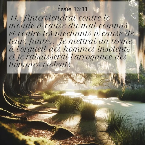 Segond21 Ésaïe  ; image nature: image avec le verset biblique :J&#039;interviendrai contre le monde à cause du mal commis et contre les méchants à cause de leurs fautes. Je mettrai un terme à l&#039;orgueil des hommes insolents et je rabaisserai l&#039;arrogance des hommes violents. ;  ; 13:11