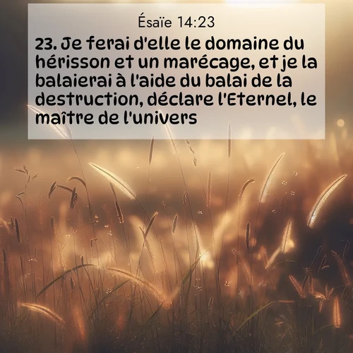 Images liées de la nature avec versets bibliques