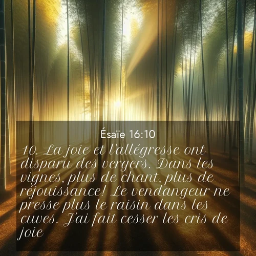 Segond21 Ésaïe  ; image nature: image avec le verset biblique :La joie et l&#039;allégresse ont disparu des vergers. Dans les vignes, plus de chant, plus de réjouissance! Le vendangeur ne presse plus le raisin dans les cuves. J&#039;ai fait cesser les cris de joie. ;  ; 16:10