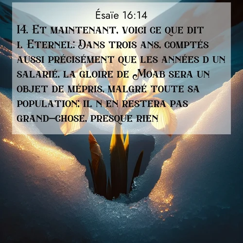Segond21 Ésaïe  ; image nature: image avec le verset biblique :Et maintenant, voici ce que dit l&#039;Eternel: Dans trois ans, comptés aussi précisément que les années d&#039;un salarié, la gloire de Moab sera un objet de mépris, malgré toute sa population; il n&#039;en restera pas grand-chose, presque rien. ;  ; 16:14