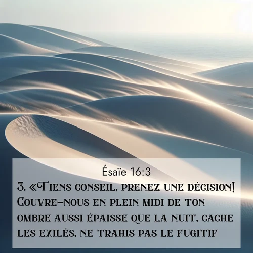 Segond21 Ésaïe  ; image nature: image avec le verset biblique :«Tiens conseil, prenez une décision! Couvre-nous en plein midi de ton ombre aussi épaisse que la nuit, cache les exilés, ne trahis pas le fugitif! ;  ; 16:3
