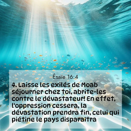 Segond21 Ésaïe  ; image nature: image avec le verset biblique :Laisse les exilés de Moab séjourner chez toi, abrite-les contre le dévastateur! En effet, l&#039;oppression cessera, la dévastation prendra fin, celui qui piétine le pays disparaîtra. ;  ; 16:4
