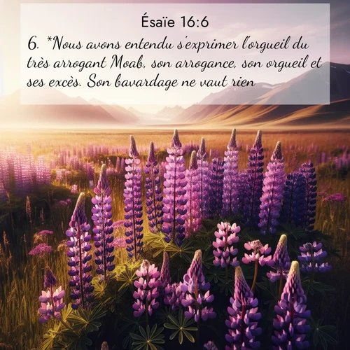 Segond21 Ésaïe  ; image nature: image avec le verset biblique :*Nous avons entendu s&#039;exprimer l&#039;orgueil du très arrogant Moab, son arrogance, son orgueil et ses excès. Son bavardage ne vaut rien. ;  ; 16:6
