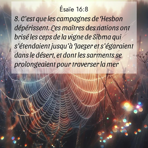 Segond21 Ésaïe  ; image nature: image avec le verset biblique :C&#039;est que les campagnes de Hesbon dépérissent. Les maîtres des nations ont brisé les ceps de la vigne de Sibma qui s&#039;étendaient jusqu&#039;à Jaezer et s&#039;égaraient dans le désert, et dont les sarments se prolongeaient pour traverser la mer. ;  ; 16:8