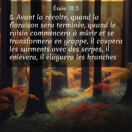 Segond21 Ésaïe  ; image nature: image avec le verset biblique :Avant la récolte, quand la floraison sera terminée, quand le raisin commencera à mûrir et se transformera en grappe, il coupera les sarments avec des serpes, il enlèvera, il élaguera les branches. ;  ; 18:5
