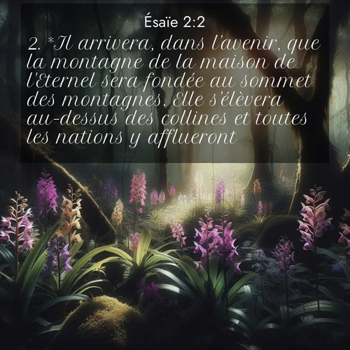 Segond21 Ésaïe  ; image nature: image avec le verset biblique :*Il arrivera, dans l&#039;avenir, que la montagne de la maison de l&#039;Eternel sera fondée au sommet des montagnes. Elle s&#039;élèvera au-dessus des collines et toutes les nations y afflueront. ;  ; 2:2