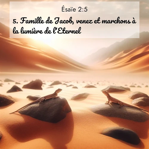 Segond21 Ésaïe  ; image nature: image avec le verset biblique :Famille de Jacob, venez et marchons à la lumière de l&#039;Eternel! ;  ; 2:5