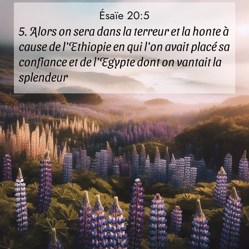 citation biblique : 5. Alors on sera dans la terreur et la honte à cause de l&#039;Ethiopie en qui l&#039;on avait placé sa confiance et de l&#039;Egypte dont on vantait la splendeur.
 sur fond image nature
