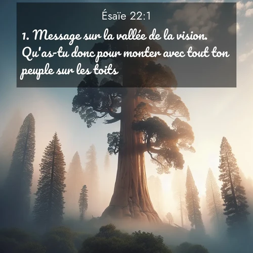 citation biblique : 1. Message sur la vallée de la vision. Qu&#039;as-tu donc pour monter avec tout ton peuple sur les toits?
 sur fond image nature
