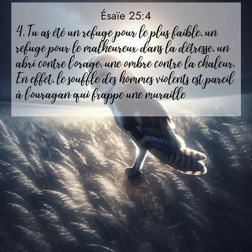 citation biblique : 4. Tu as été un refuge pour le plus faible, un refuge pour le malheureux dans la détresse, un abri contre l&#039;orage, une ombre contre la chaleur. En effet, le souffle des hommes violents est pareil à l&#039;ouragan qui frappe une muraille.
 sur fond image nature