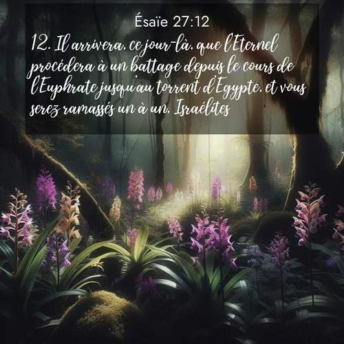 Segond21 Ésaïe  ; image nature: image avec le verset biblique :Il arrivera, ce jour-là, que l&#039;Eternel procédera à un battage depuis le cours de l&#039;Euphrate jusqu&#039;au torrent d&#039;Egypte, et vous serez ramassés un à un, Israélites! ;  ; 27:12