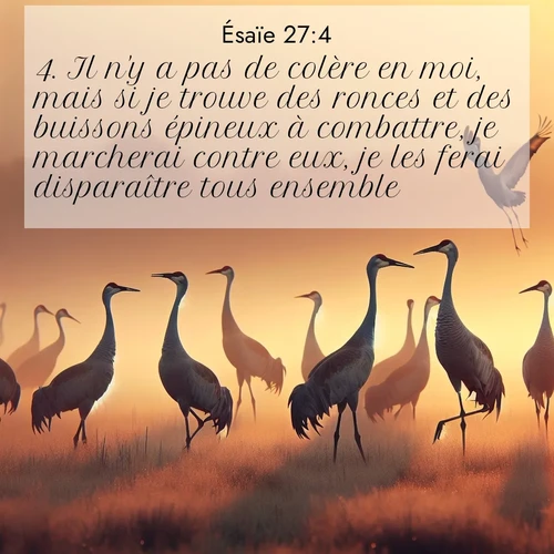 Segond21 Ésaïe  ; image nature: image avec le verset biblique :Il n&#039;y a pas de colère en moi, mais si je trouve des ronces et des buissons épineux à combattre, je marcherai contre eux, je les ferai disparaître tous ensemble, ;  ; 27:4