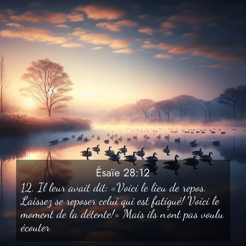 Segond21 Ésaïe  ; image nature: image avec le verset biblique :Il leur avait dit: «Voici le lieu de repos. Laissez se reposer celui qui est fatigué! Voici le moment de la détente!» Mais ils n&#039;ont pas voulu écouter, ;  ; 28:12