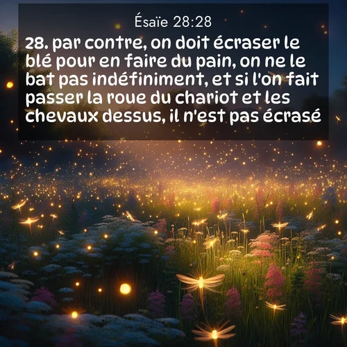 Segond21 Ésaïe  ; image nature: image avec le verset biblique :par contre, on doit écraser le blé pour en faire du pain, on ne le bat pas indéfiniment, et si l&#039;on fait passer la roue du chariot et les chevaux dessus, il n&#039;est pas écrasé. ;  ; 28:28