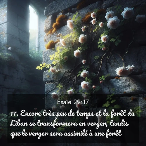 Segond21 Ésaïe  ; image nature: image avec le verset biblique :Encore très peu de temps et la forêt du Liban se transformera en verger, tandis que le verger sera assimilé à une forêt. ;  ; 29:17