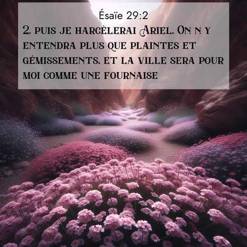 Segond21 Ésaïe  ; image nature: image avec le verset biblique :puis je harcèlerai Ariel. On n&#039;y entendra plus que plaintes et gémissements, et la ville sera pour moi comme une fournaise. ;  ; 29:2
