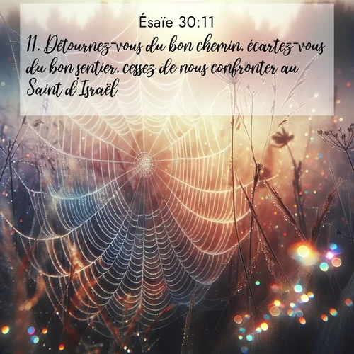 Segond21 Ésaïe  ; image nature: image avec le verset biblique :Détournez-vous du bon chemin, écartez-vous du bon sentier, cessez de nous confronter au Saint d&#039;Israël!» ;  ; 30:11