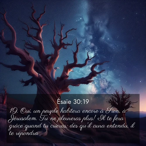 Segond21 Ésaïe  ; image nature: image avec le verset biblique :Oui, un peuple habitera encore à Sion, à Jérusalem. Tu ne pleureras plus! Il te fera grâce quand tu crieras; dès qu&#039;il aura entendu, il te répondra. ;  ; 30:19