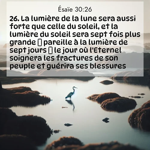 Segond21 Ésaïe  ; image nature: image avec le verset biblique :La lumière de la lune sera aussi forte que celle du soleil, et la lumière du soleil sera sept fois plus grande  pareille à la lumière de sept jours  le jour où l&#039;Eternel soignera les fractures de son peuple et guérira ses blessures. ;  ; 30:26
