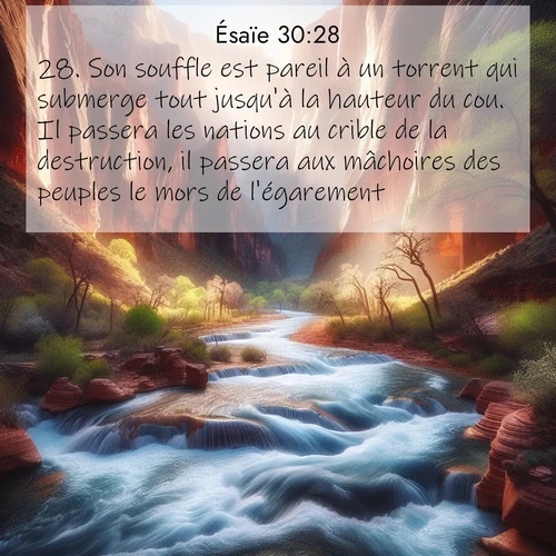 Segond21 Ésaïe  ; image nature: image avec le verset biblique :Son souffle est pareil à un torrent qui submerge tout jusqu&#039;à la hauteur du cou. Il passera les nations au crible de la destruction, il passera aux mâchoires des peuples le mors de l&#039;égarement. ;  ; 30:28
