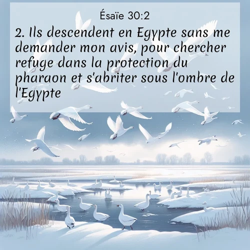Segond21 Ésaïe  ; image nature: image avec le verset biblique :Ils descendent en Egypte sans me demander mon avis, pour chercher refuge dans la protection du pharaon et s&#039;abriter sous l&#039;ombre de l&#039;Egypte! ;  ; 30:2