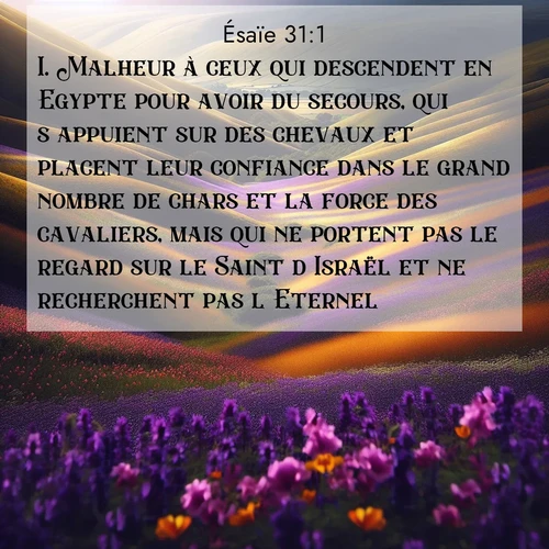 citation biblique : 1. Malheur à ceux qui descendent en Egypte pour avoir du secours, qui s&#039;appuient sur des chevaux et placent leur confiance dans le grand nombre de chars et la force des cavaliers, mais qui ne portent pas le regard sur le Saint d&#039;Israël et ne recherchent pas l&#039;Eternel!
 sur fond image nature
