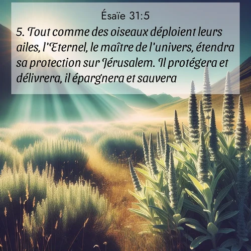citation biblique : 5. Tout comme des oiseaux déploient leurs ailes, l&#039;Eternel, le maître de l&#039;univers, étendra sa protection sur Jérusalem. Il protégera et délivrera, il épargnera et sauvera.»
 sur fond image nature