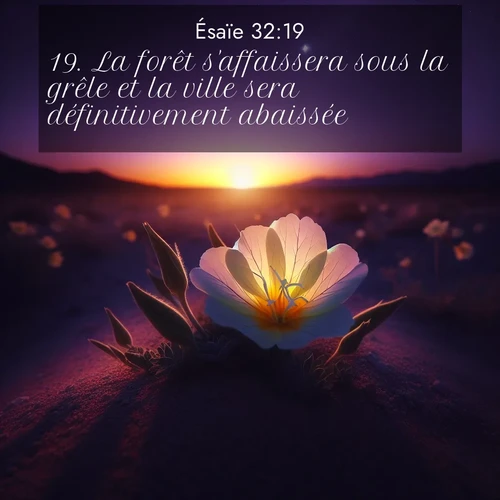 Segond21 Ésaïe  ; image nature: image avec le verset biblique :La forêt s&#039;affaissera sous la grêle et la ville sera définitivement abaissée. ;  ; 32:19