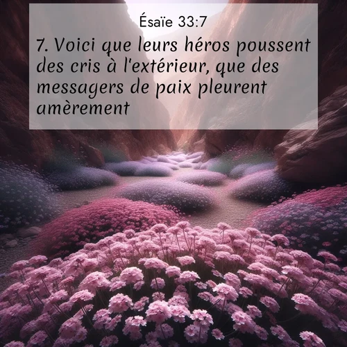 Segond21 Ésaïe  ; image nature: image avec le verset biblique :Voici que leurs héros poussent des cris à l&#039;extérieur, que des messagers de paix pleurent amèrement. ;  ; 33:7