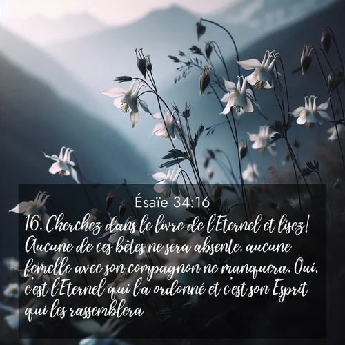 image nature avec verset biblique de la Bible