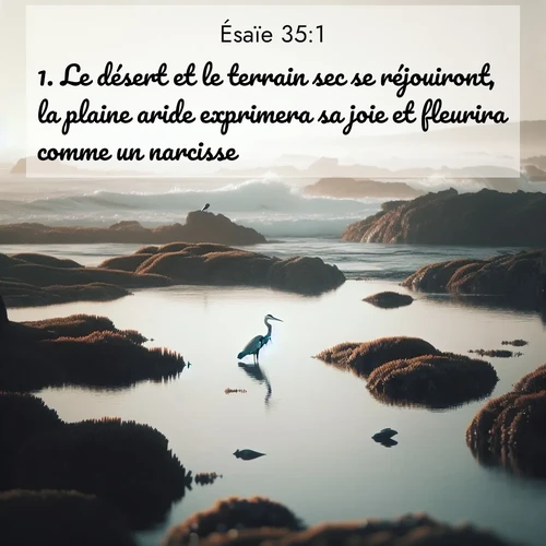 citation biblique : 1. Le désert et le terrain sec se réjouiront, la plaine aride exprimera sa joie et fleurira comme un narcisse;
 sur fond image nature