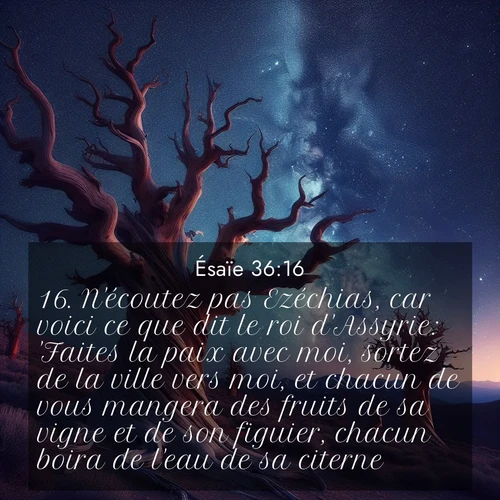 Segond21 Ésaïe  ; image nature: image avec le verset biblique :N&#039;écoutez pas Ezéchias, car voici ce que dit le roi d&#039;Assyrie: &#039;Faites la paix avec moi, sortez de la ville vers moi, et chacun de vous mangera des fruits de sa vigne et de son figuier, chacun boira de l&#039;eau de sa citerne. ;  ; 36:16