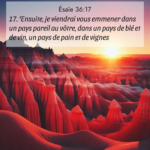 Segond21 Ésaïe  ; image nature: image avec le verset biblique :Ensuite, je viendrai vous emmener dans un pays pareil au vôtre, dans un pays de blé et de vin, un pays de pain et de vignes.&#039; ;  ; 36:17