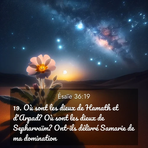 Segond21 Ésaïe  ; image nature: image avec le verset biblique :Où sont les dieux de Hamath et d&#039;Arpad? Où sont les dieux de Sepharvaïm? Ont-ils délivré Samarie de ma domination? ;  ; 36:19