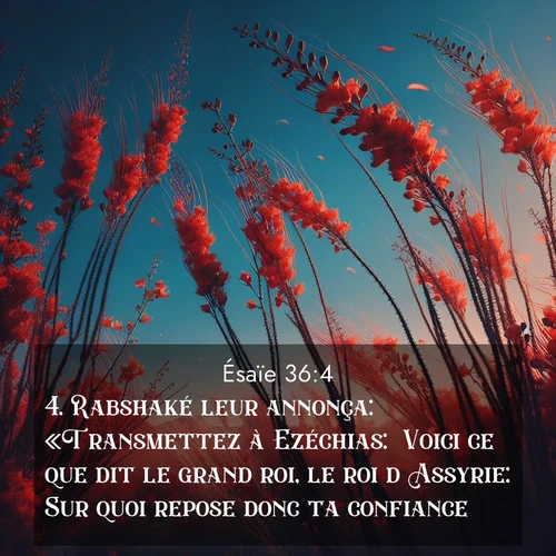 Segond21 Ésaïe  ; image nature: image avec le verset biblique :Rabshaké leur annonça: «Transmettez à Ezéchias: &#039;Voici ce que dit le grand roi, le roi d&#039;Assyrie: Sur quoi repose donc ta confiance? ;  ; 36:4