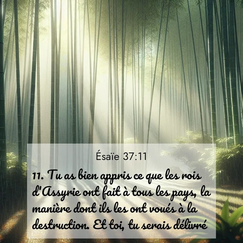 Segond21 Ésaïe  ; image nature: image avec le verset biblique :Tu as bien appris ce que les rois d&#039;Assyrie ont fait à tous les pays, la manière dont ils les ont voués à la destruction. Et toi, tu serais délivré? ;  ; 37:11