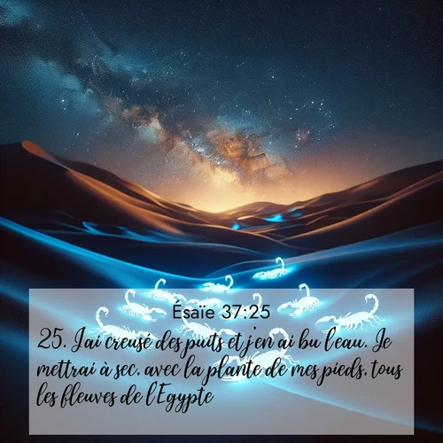 Segond21 Ésaïe  ; image nature: image avec le verset biblique :J&#039;ai creusé des puits et j&#039;en ai bu l&#039;eau. Je mettrai à sec, avec la plante de mes pieds, tous les fleuves de l&#039;Egypte.&#039; ;  ; 37:25