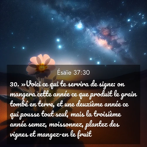 Segond21 Ésaïe  ; image nature: image avec le verset biblique :»Voici ce qui te servira de signe: on mangera cette année ce que produit le grain tombé en terre, et une deuxième année ce qui pousse tout seul, mais la troisième année semez, moissonnez, plantez des vignes et mangez-en le fruit! ;  ; 37:30
