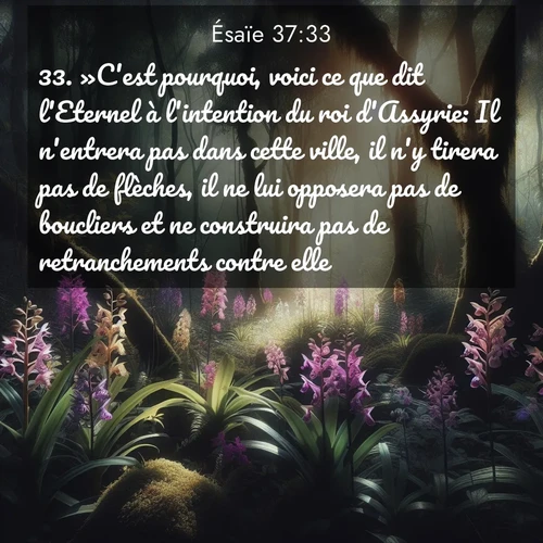 Segond21 Ésaïe  ; image nature: image avec le verset biblique :»C&#039;est pourquoi, voici ce que dit l&#039;Eternel à l&#039;intention du roi d&#039;Assyrie: Il n&#039;entrera pas dans cette ville, il n&#039;y tirera pas de flèches, il ne lui opposera pas de boucliers et ne construira pas de retranchements contre elle. ;  ; 37:33