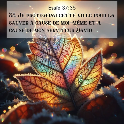 Segond21 Ésaïe  ; image nature: image avec le verset biblique :Je protégerai cette ville pour la sauver à cause de moi-même et à cause de mon serviteur David.» ;  ; 37:35