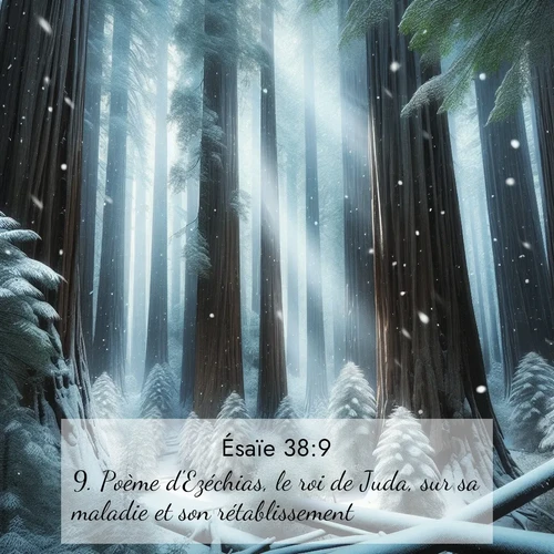 image nature avec verset biblique de la Bible