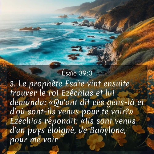 citation biblique : 3. Le prophète Esaïe vint ensuite trouver le roi Ezéchias et lui demanda: «Qu&#039;ont dit ces gens-là et d&#039;où sont-ils venus pour te voir?» Ezéchias répondit: «Ils sont venus d&#039;un pays éloigné, de Babylone, pour me voir.»
 sur fond image nature