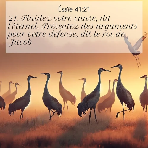 Segond21 Ésaïe  ; image nature: image avec le verset biblique :Plaidez votre cause, dit l&#039;Eternel. Présentez des arguments pour votre défense, dit le roi de Jacob. ;  ; 41:21