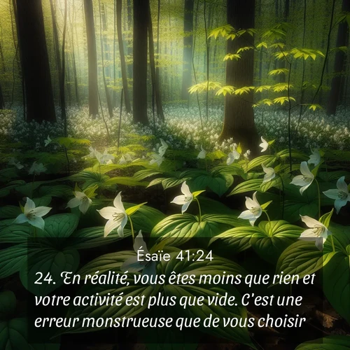 Segond21 Ésaïe  ; image nature: image avec le verset biblique :En réalité, vous êtes moins que rien et votre activité est plus que vide. C&#039;est une erreur monstrueuse que de vous choisir. ;  ; 41:24