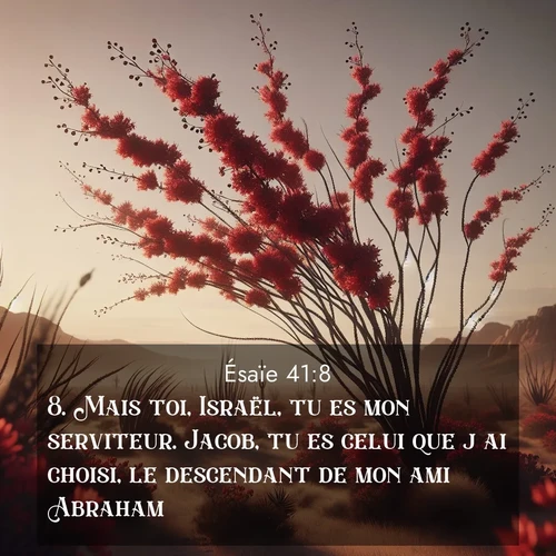Segond21 Ésaïe  ; image nature: image avec le verset biblique :Mais toi, Israël, tu es mon serviteur. Jacob, tu es celui que j&#039;ai choisi, le descendant de mon ami Abraham. ;  ; 41:8